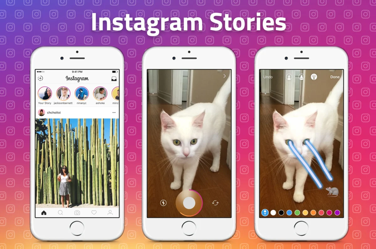 How to See Who Shared Your Instagram Story