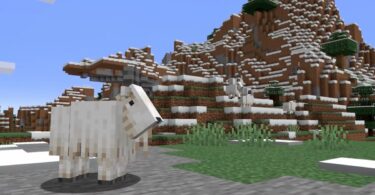 How To Tame A Goat In Minecraft