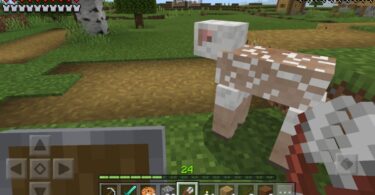 How To Tame A Sheep In Minecraft