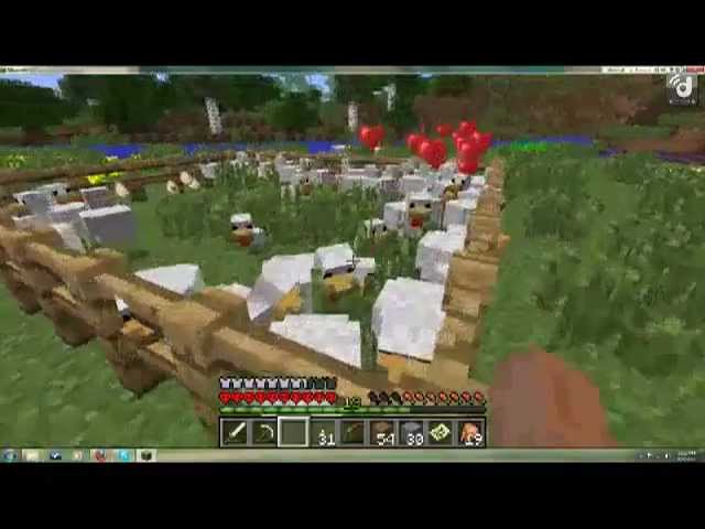 How To Tame A Chicken In Minecraft – Step By Step Guide