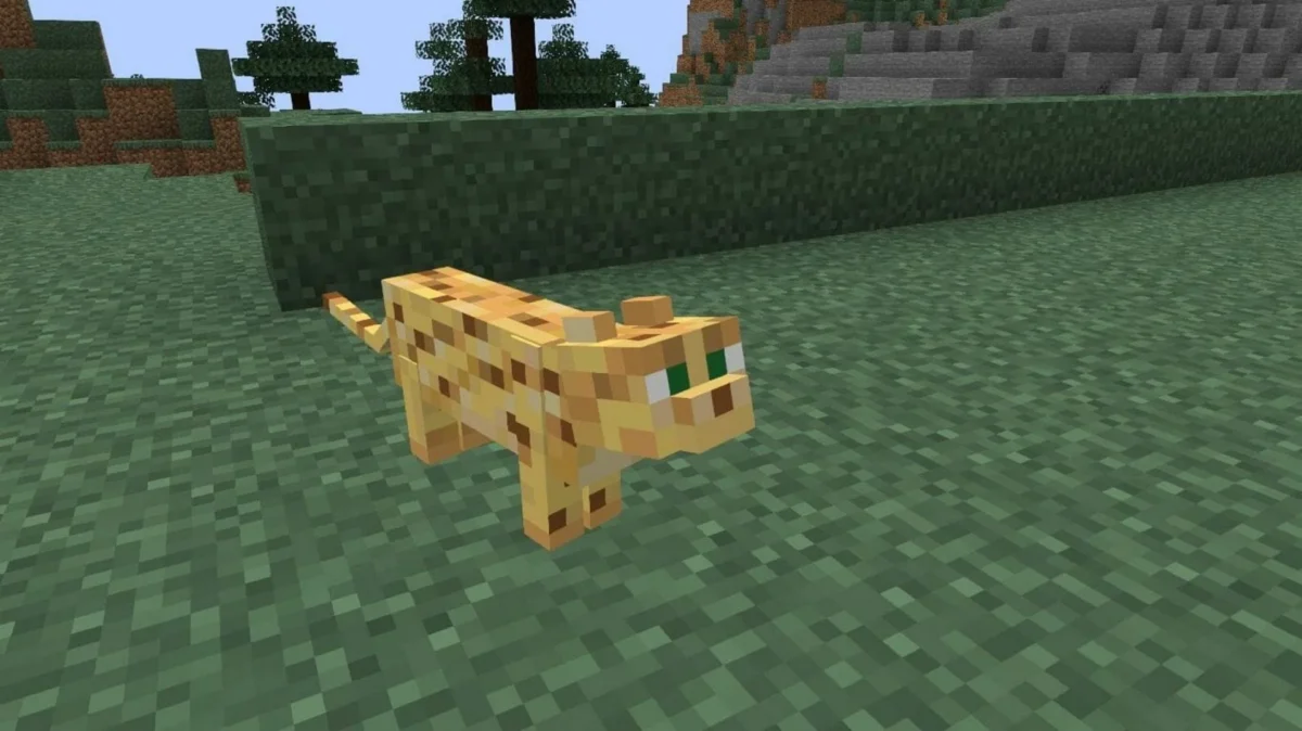 How To Tame Ocelot In Minecraft 