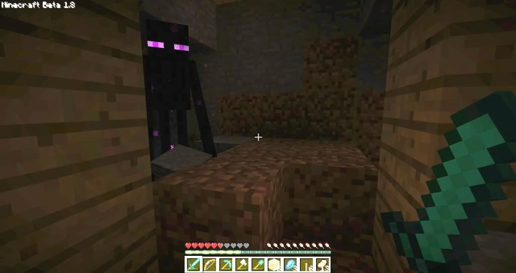 you can sometimes control an enderman